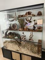 Chinchilla terrarium of grote degoe kooien kopen, Dieren en Toebehoren, Kooi, 110 cm of meer, Nieuw, Ophalen of Verzenden