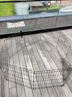 Puppy ren, Dieren en Toebehoren, Ophalen, Ren