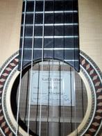 Guitare classique HOFNER HM83, Enlèvement