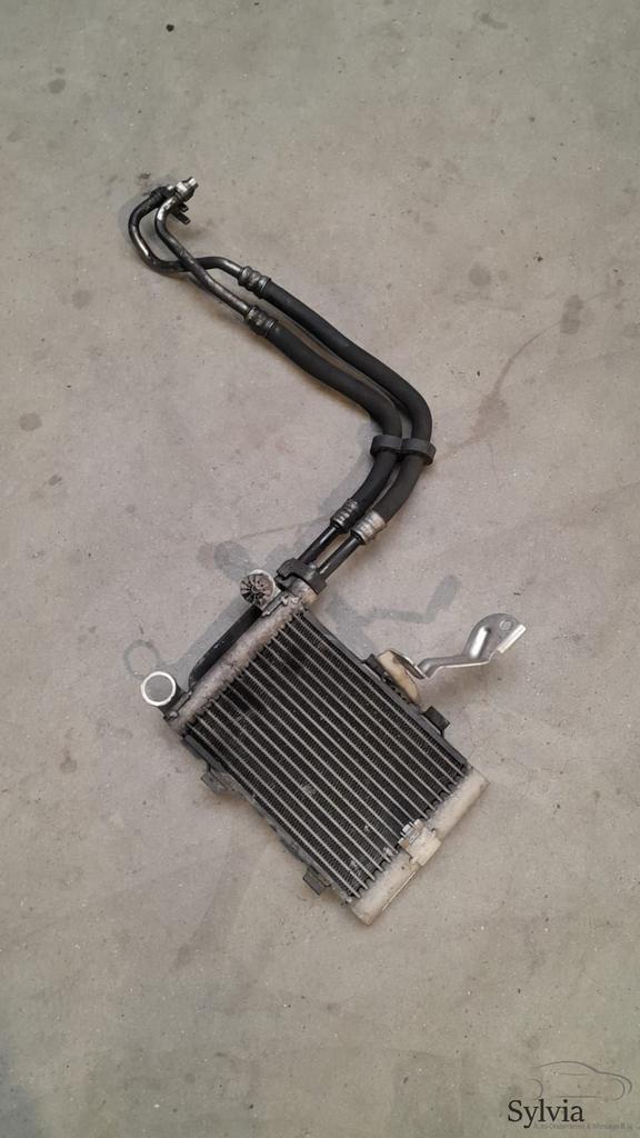 Radiateur motor koeler N52 NBMW X3 E83 LCi 2.5i 3.0i 1721344, Auto-onderdelen, Motor en Toebehoren, Gebruikt, Ophalen of Verzenden