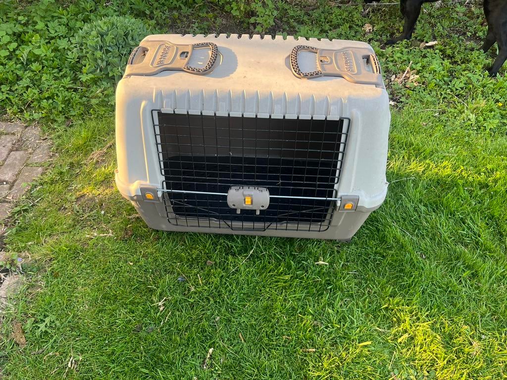 Cage pour chien, Animaux & Accessoires, Accessoires pour chiens, Enlèvement, Utilisé