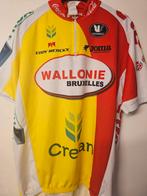 TEAM Wallonie-Bruxelles wielershirt, Ophalen of Verzenden, Zo goed als nieuw, L