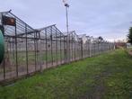serre voor  tuinbouw te huur in Sint Katelijne Waver, Divers, Enlèvement
