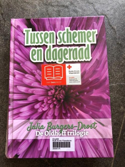 Tussen schemer en dageraad - Julia Burgers- - groter letters, Boeken, Romans, Ophalen of Verzenden