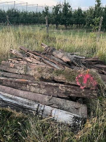 Treinbilzen en afbraakhout beschikbaar voor biedingen