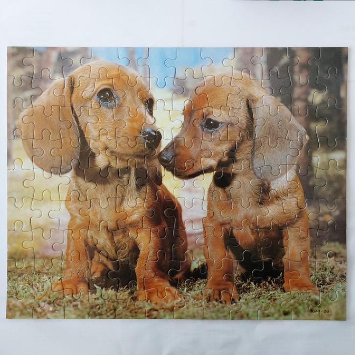 MB Puzzel 100 stukken (bruine hondjes), Enfants & Bébés, Jouets | Puzzles pour enfants, Utilisé, 4 à 6 ans, Plus de 50 pièces
