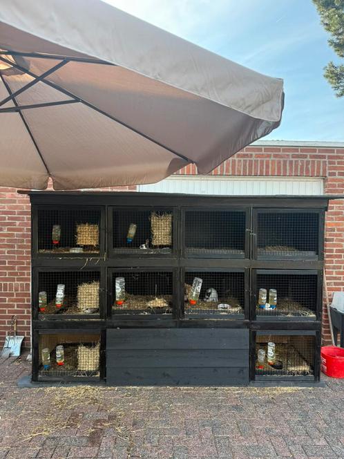 Konijnenflat inclusief alles, Dieren en Toebehoren, Knaagdieren en Konijnen | Hokken en Kooien, Zo goed als nieuw, Kooi, Ophalen