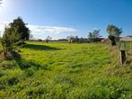 Weide te koop processiestraat op grens Kanegem/Aarsele, Immo