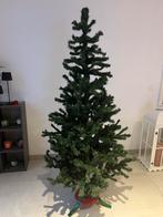 Sapins de Noel, Divers, Enlèvement, Comme neuf