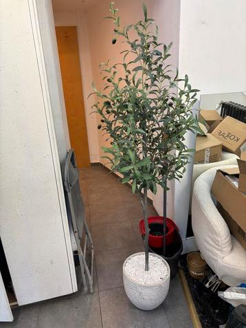 Olijfboom kunstplant met pot en steentjes beschikbaar voor biedingen