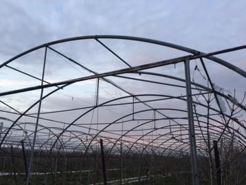 4 grote tunnels om plastiek over te trekken. Totaal 3120m2.. beschikbaar voor biedingen