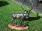 statue d un cerf en fonte pat bronze sur socle en bois ..., Jardin & Terrasse, Animal, Enlèvement ou Envoi, Métal, Neuf