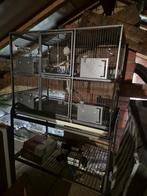 knaagdieren kooi, Dieren en Toebehoren, Ophalen, Kooi