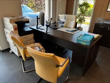 Directie bureau in walnotenhout, Ophalen, Bureau