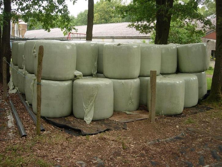 Midi balen hooi van mei 2025., Dieren en Toebehoren, Dierenvoeding, Overige soorten, Ophalen of Verzenden