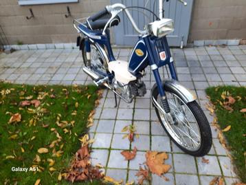 honda novio disponible aux enchères