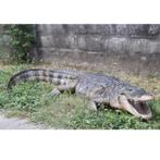 American Alligator – Krokodil beeld Lengte 241 cm, Verzamelen, Dierenverzamelingen, Ophalen, Nieuw