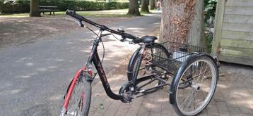 Driewielfiets van het merk Tri-bike.  beschikbaar voor biedingen