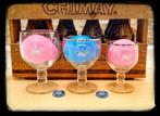 Set van 3 glazen Chateau de Chimay 18cl 25cl 33cl, Ophalen of Verzenden, Nieuw, Bierglas