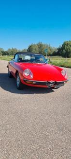 Alfa spider, Enlèvement