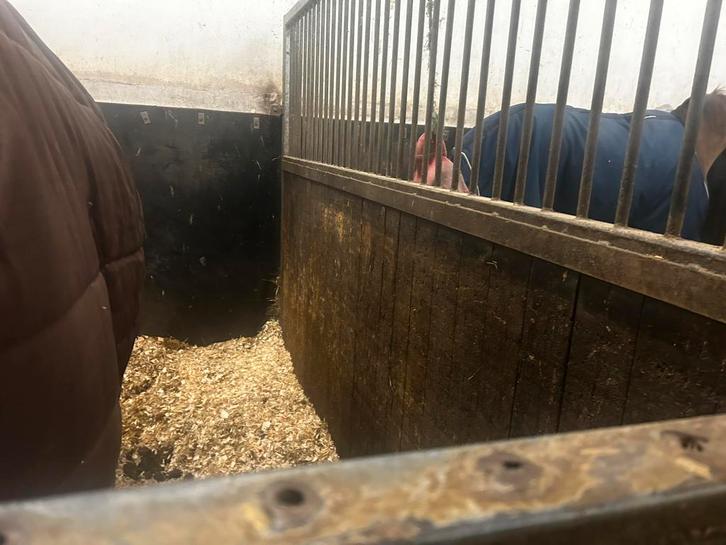 Façades et séparations boxes chevaux, Dieren en Toebehoren, Stalling en Weidegang, Accessoires, 4 paarden of pony's of meer