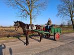 boerenkar, Gebruikt, Overige typen, Paard