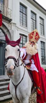 15jarige enthousiaste ruin, Dieren en Toebehoren, Paarden, Ruin, 170 tot 175 cm, Springpaard, 11 jaar of ouder