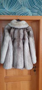Pelsjas van blauwvos, Enlèvement ou Envoi, Comme neuf