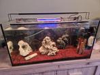 Compleet aquarium 100L, Dieren en Toebehoren, Ophalen, Gebruikt, Gevuld zoetwateraquarium
