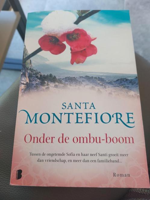 Santa Montefiore - Onder de ombu-boom, Boeken, Literatuur, Gelezen, Ophalen of Verzenden