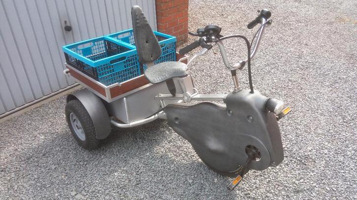 Custom AWD Electric Tricycle, Fietsen en Brommers, Fietsen | Driewielfietsen, Ophalen