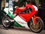 DUCATI TT REPLICA ***MOTOVERTE.BE***, Motoren, Bedrijf, 900 cc, Sport