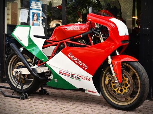 DUCATI TT REPLICA ***MOTOVERTE.BE***, Motoren, Motoren | Ducati, Bedrijf, Sport, Ophalen