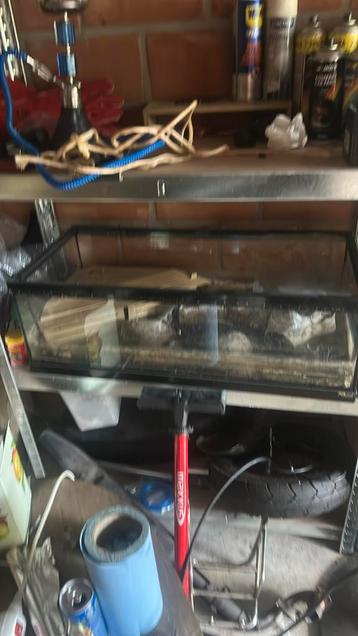 Aqaurium schildpad 120 cm meenemn snel, Dieren en Toebehoren, Ophalen of Verzenden, Zo goed als nieuw