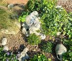 natuurstenen voor aanleg vijver of rots tuin ,, Tuin en Terras, Ophalen of Verzenden