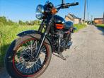 Kawasaki W800, Overig