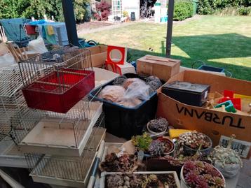 Allerhande vogelmateriaal te bekomen, apart of gans het lot beschikbaar voor biedingen