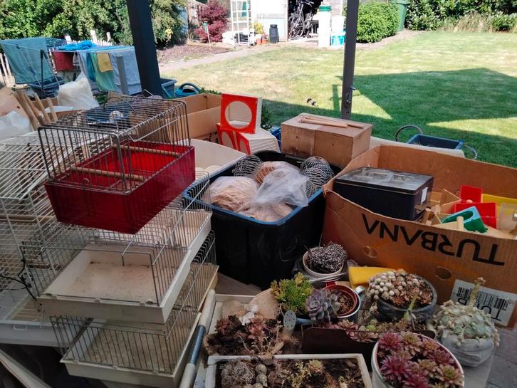 Allerhande vogelmateriaal te bekomen, apart of gans het lot, Dieren en Toebehoren, Vogels | Toebehoren, Gebruikt, Kooi-accessoires