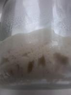 Zuurdesem  - Levain - Starter - Desemstarter ( TARWE), Diversen, Ophalen of Verzenden
