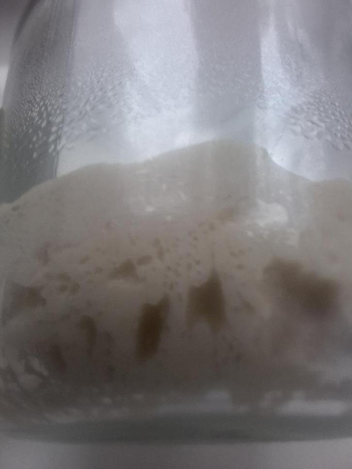Zuurdesem  - Levain - Starter - Desemstarter ( TARWE), Diversen, Levensmiddelen, Ophalen of Verzenden