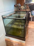 Aqarium 75 euro tel 0484508252, Dieren en Toebehoren, Ophalen