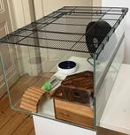 Hamster kooi met toebehoren, Souris, Moins de 60 cm, Cage, Utilisé