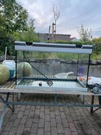 Aquarium 100l met benodigheden, Animaux & Accessoires, Poissons | Aquariums & Accessoires, Enlèvement, Comme neuf