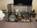 Halster kooi, Kooi, Gebruikt, Minder dan 75 cm, Hamster