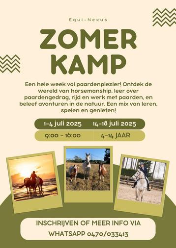 Zomerkamp tussen de paarden beschikbaar voor biedingen