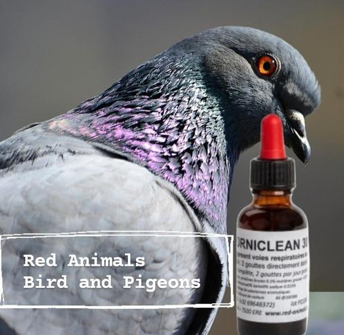 Orniclean 30ml, Maakt De Luchtwegen Vrij, Red Animals, Dieren en Toebehoren, Vogels | Toebehoren, Nieuw, Ophalen