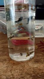11 guppies en 2 baby mollies mix man en vrouw, Dieren en Toebehoren