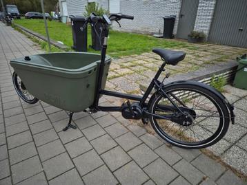 Dolly bakfiets  disponible aux enchères