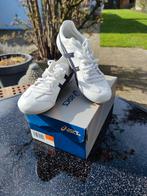 Oasics whizzer lo white/black, Sport en Fitness, Tennis, Ophalen of Verzenden, Nieuw, Schoenen