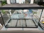 Aquarium superfish 90 l., Ophalen, Zo goed als nieuw